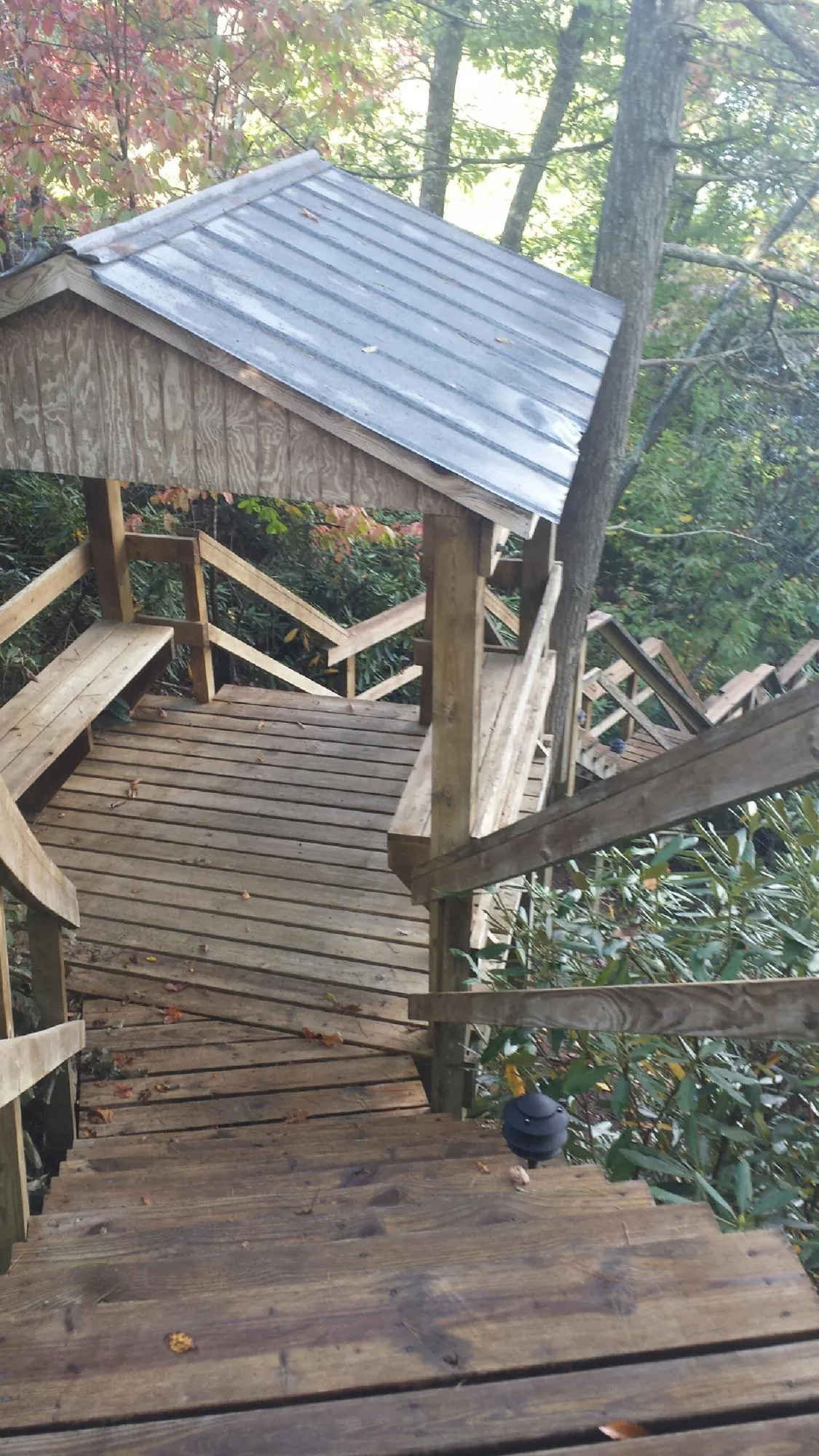 Metal roofed shelter over wooden steps on a wooded walkway — Skylight Repair & Installation work by our crew in Rollins